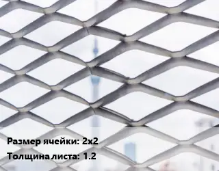 Сетка ЦПВС 2х2 s=1.2
